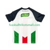 Fußballtrikots Club Deportivo Palestino 2025-2026 Kurzarm Heimtrikotsatz kaufen